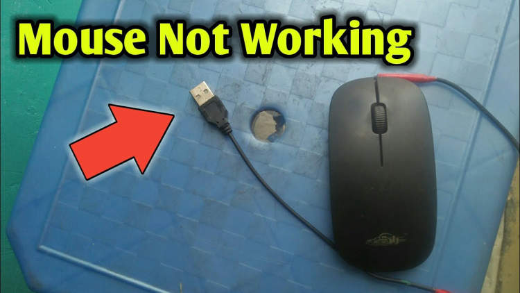 Solving Your Mouse for Laptop's Not Working Issues: Tips to Repair