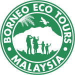 Image Borneo Nature Tours